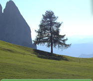 Vacanza in montagna � vacanze, offerte e hotel in Alto Adige � Trentino
